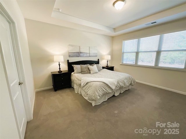 carpeted bedroom featuring a tray ceiling