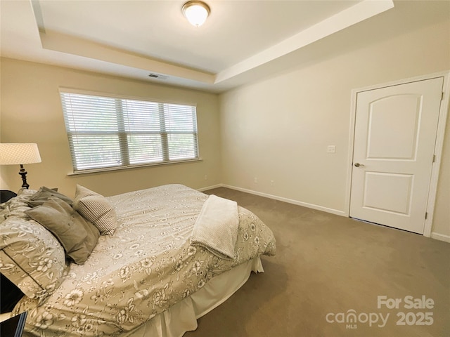 bedroom with a raised ceiling and carpet