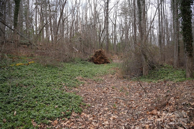 view of landscape