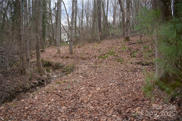 view of local wilderness