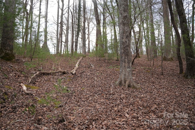 view of local wilderness