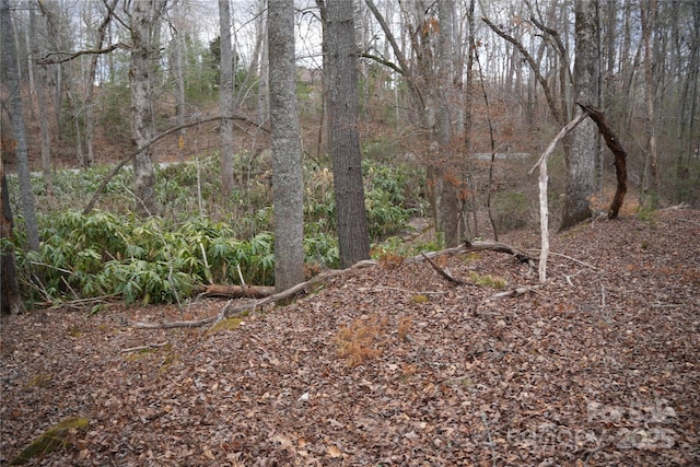 view of landscape