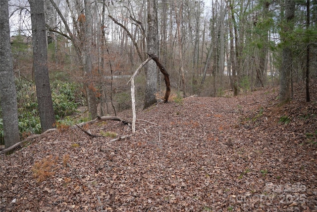 view of local wilderness