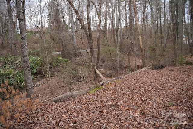 view of local wilderness