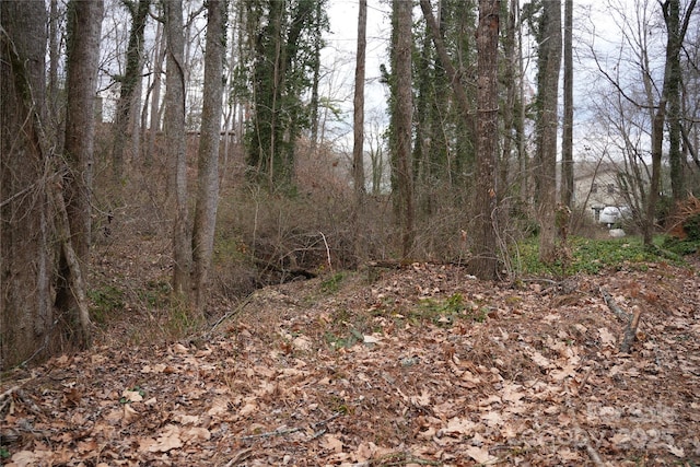 view of local wilderness