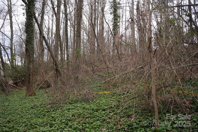 view of local wilderness