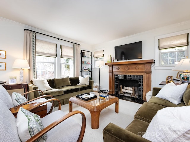 living room with crown molding and a fireplace