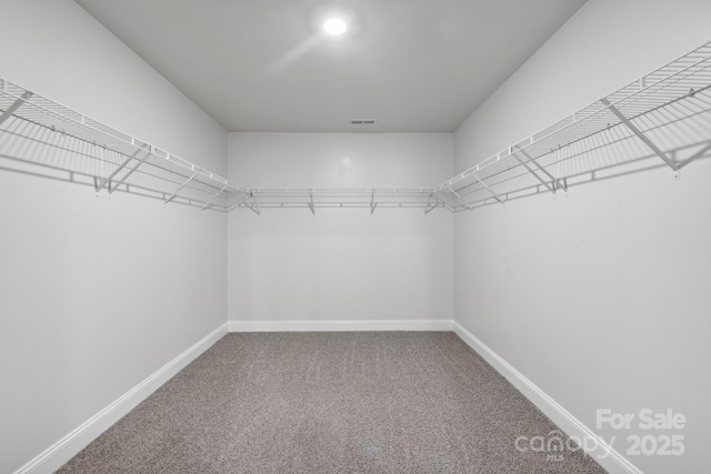 spacious closet featuring carpet floors