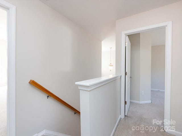 interior space featuring baseboards and carpet