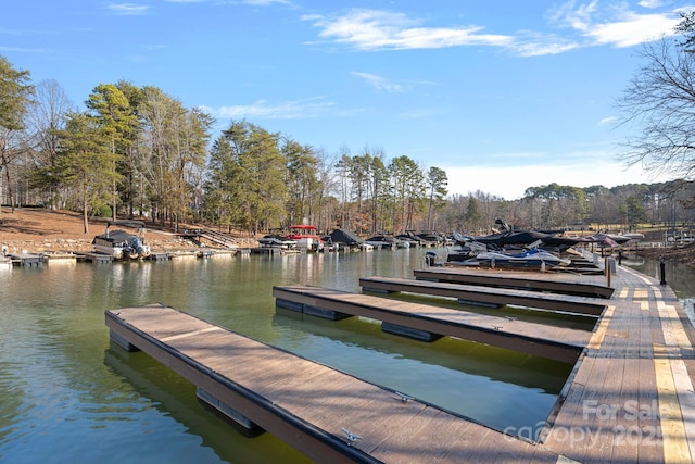 dock area with a water view