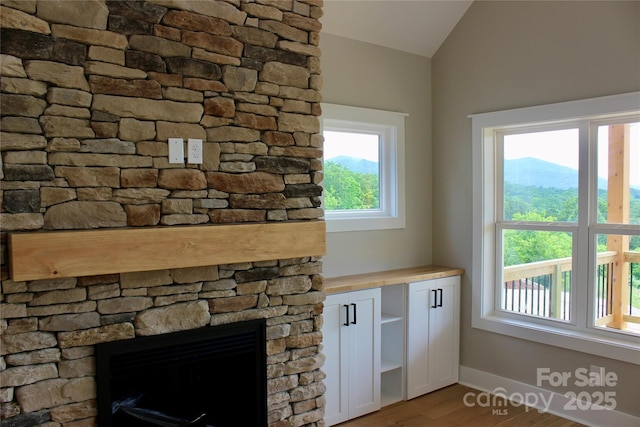 122 Chepstow Pl, Black Mountain, NC 28711 - detailed view of a fireplace and wood finished floors