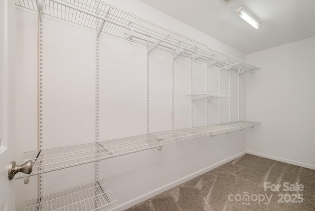 walk in closet featuring carpet flooring