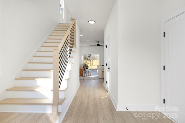 stairway featuring ceiling fan and wood-type flooring