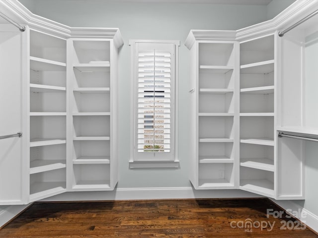 spacious closet with dark hardwood / wood-style flooring