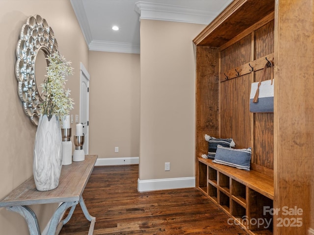 mudroom with crown molding and dark hardwood / wood-style flooring