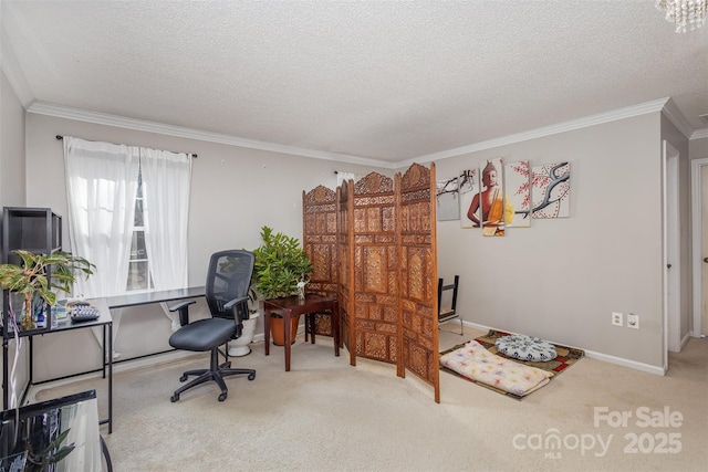 home office with crown molding, carpet flooring, and a textured ceiling