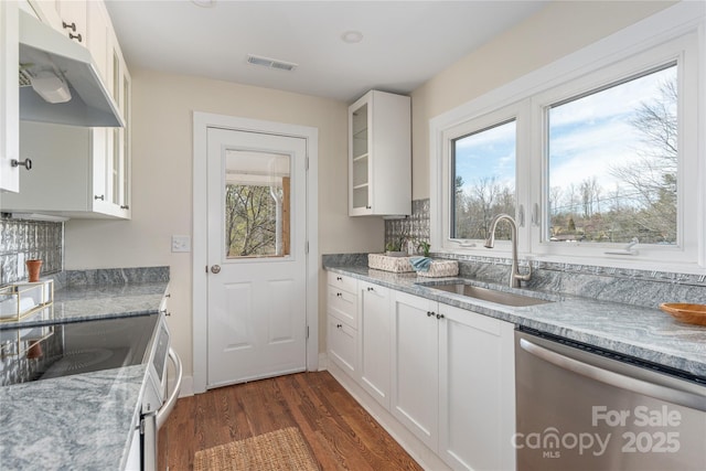 kitchen featuring white cabinetry, stainless steel appliances, light stone countertops, plenty of natural light, and sink