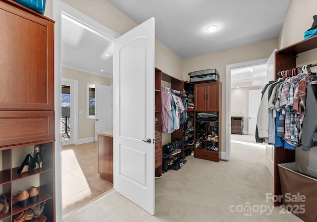 walk in closet with light colored carpet