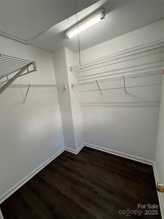 spacious closet with dark hardwood / wood-style floors