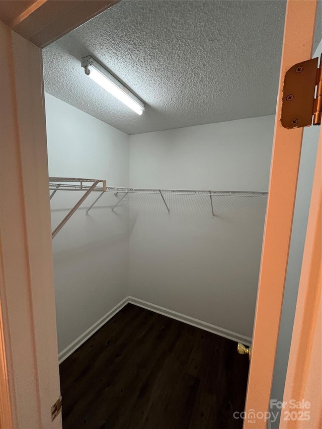 spacious closet with dark wood-type flooring