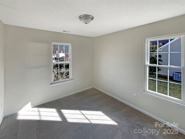 spare room with carpet flooring and a textured ceiling