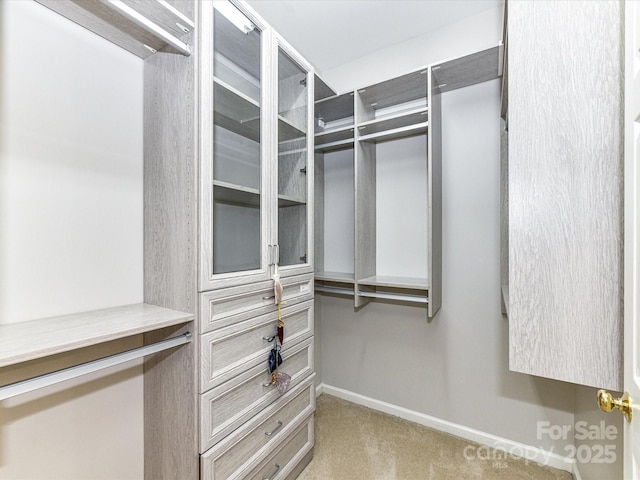 spacious closet featuring light carpet