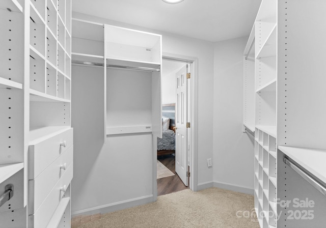 spacious closet with carpet flooring