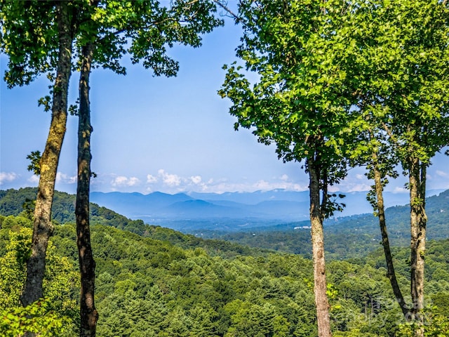 mountain view with a view of trees