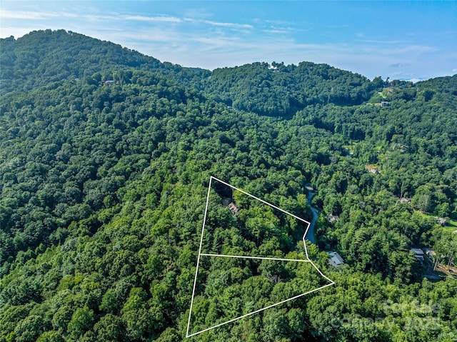 aerial view with a forest view and a mountain view