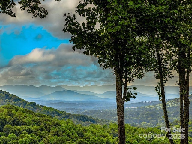 property view of mountains with a view of trees