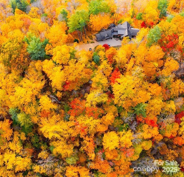 aerial view featuring a view of trees