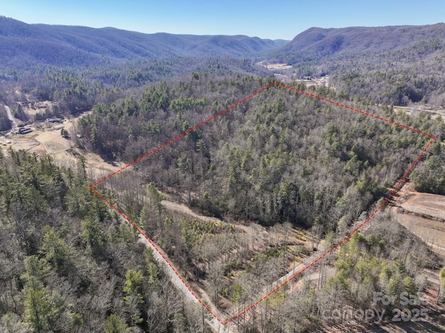 0000 Bobs Creek Rd, Zirconia NC, 28790 land for sale