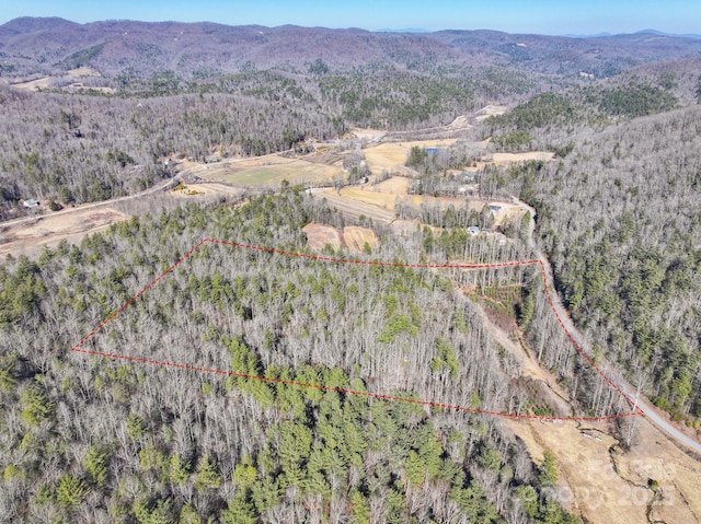 Listing photo 3 for 0000 Bobs Creek Rd, Zirconia NC 28790