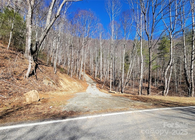 Listing photo 3 for 2200 Cove Creek Rd, Waynesville NC 28785