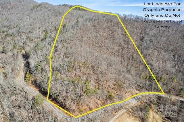 2200 Cove Creek Rd, Waynesville, NC 28785 - photo 1