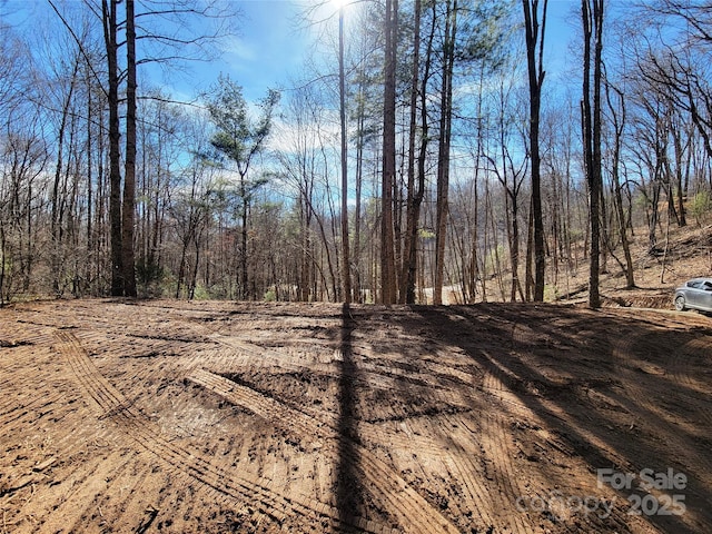 2200 Cove Creek Rd, Waynesville, NC 28785 - photo 2