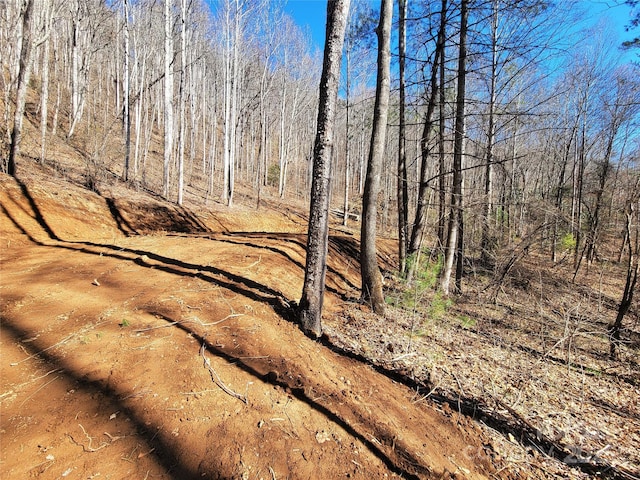2200 Cove Creek Rd, Waynesville, NC 28785 - photo 5