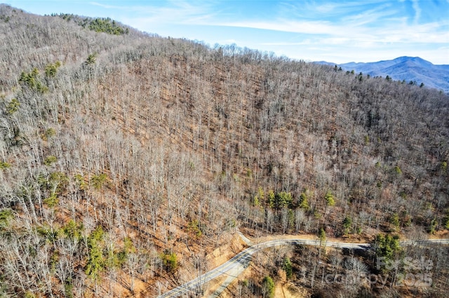 2200 Cove Creek Rd, Waynesville, NC 28785 - photo 6