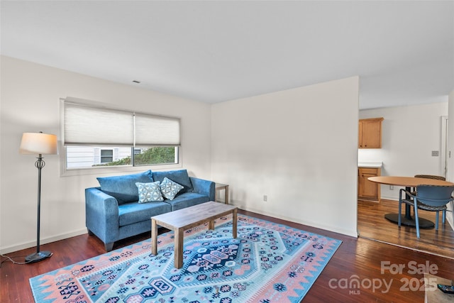 living room featuring dark wood-type flooring