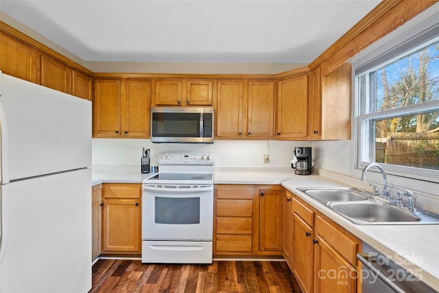 kitchen with sink, dark wood-type flooring, and stainless steel appliances