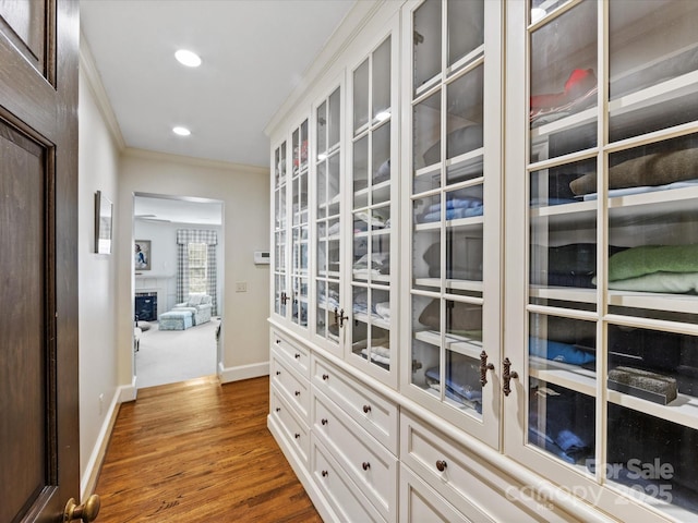 spacious closet featuring dark wood-type flooring