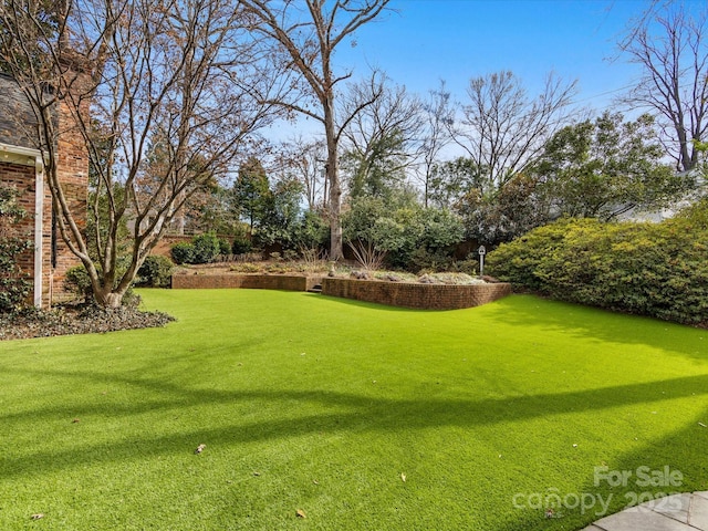 view of community featuring a lawn