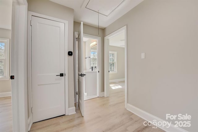 corridor featuring plenty of natural light and light hardwood / wood-style floors