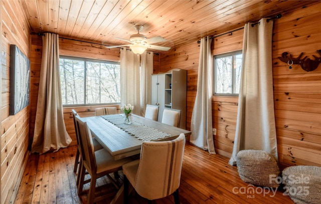 dining room with wood-type flooring, plenty of natural light, wooden ceiling, and wooden walls