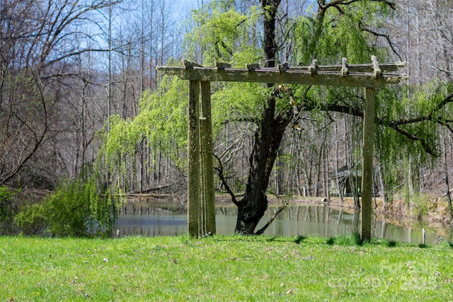 view of yard with a water view