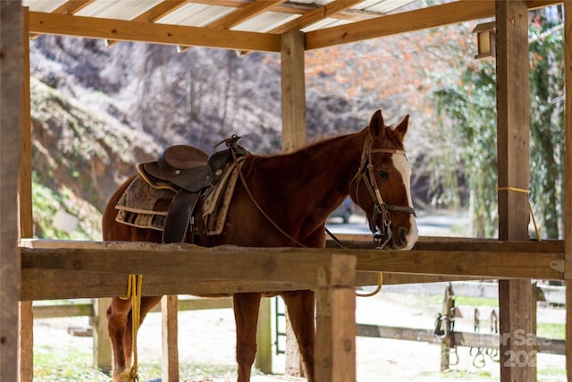 view of stable