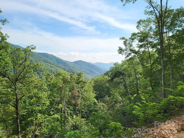 00 Wayehutta Rd, Cullowhee NC, 28723 land for sale