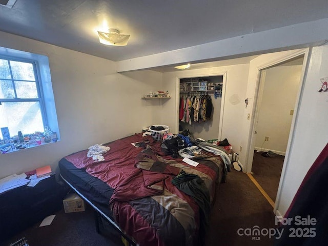 bedroom with carpet floors and a closet