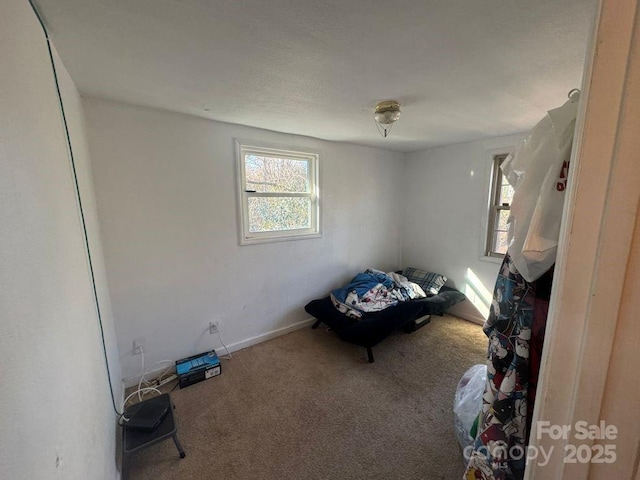 unfurnished bedroom with carpet