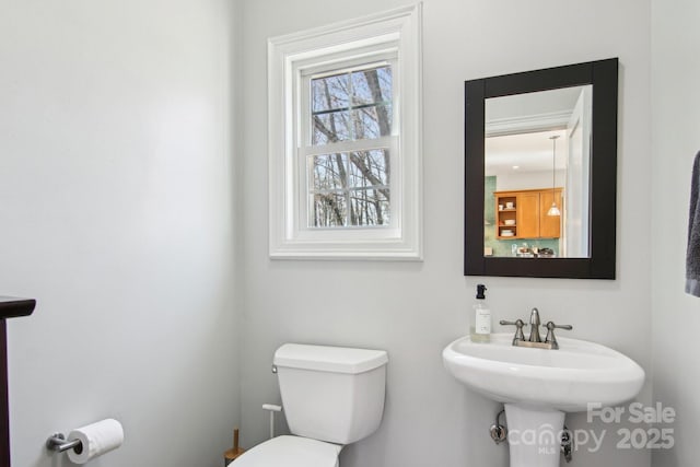 bathroom featuring sink and toilet